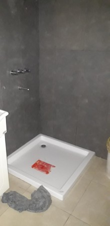 WILDE OESTE. VENTA DE LOTE DE 250 M2 CON 2 DUPLEX A TERMINAR Y CASA DE 3 AMBIENTES A REFACCIONAR.